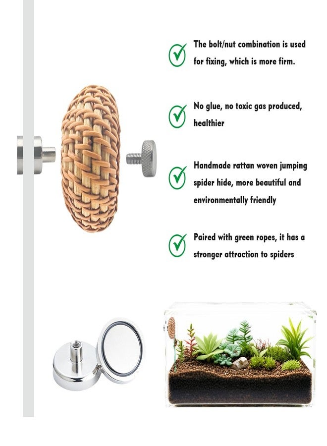 MAGNEECH 1 Pcs Jumping Spider Accessories，Shelter Made of Cane, Essential for Jumping Spider Hide, Enclosure, and Tarantula Enclosure Accessories - Image 3